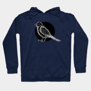 Ascii Bird Hoodie